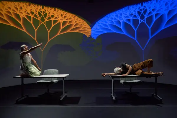 dancing and the brain