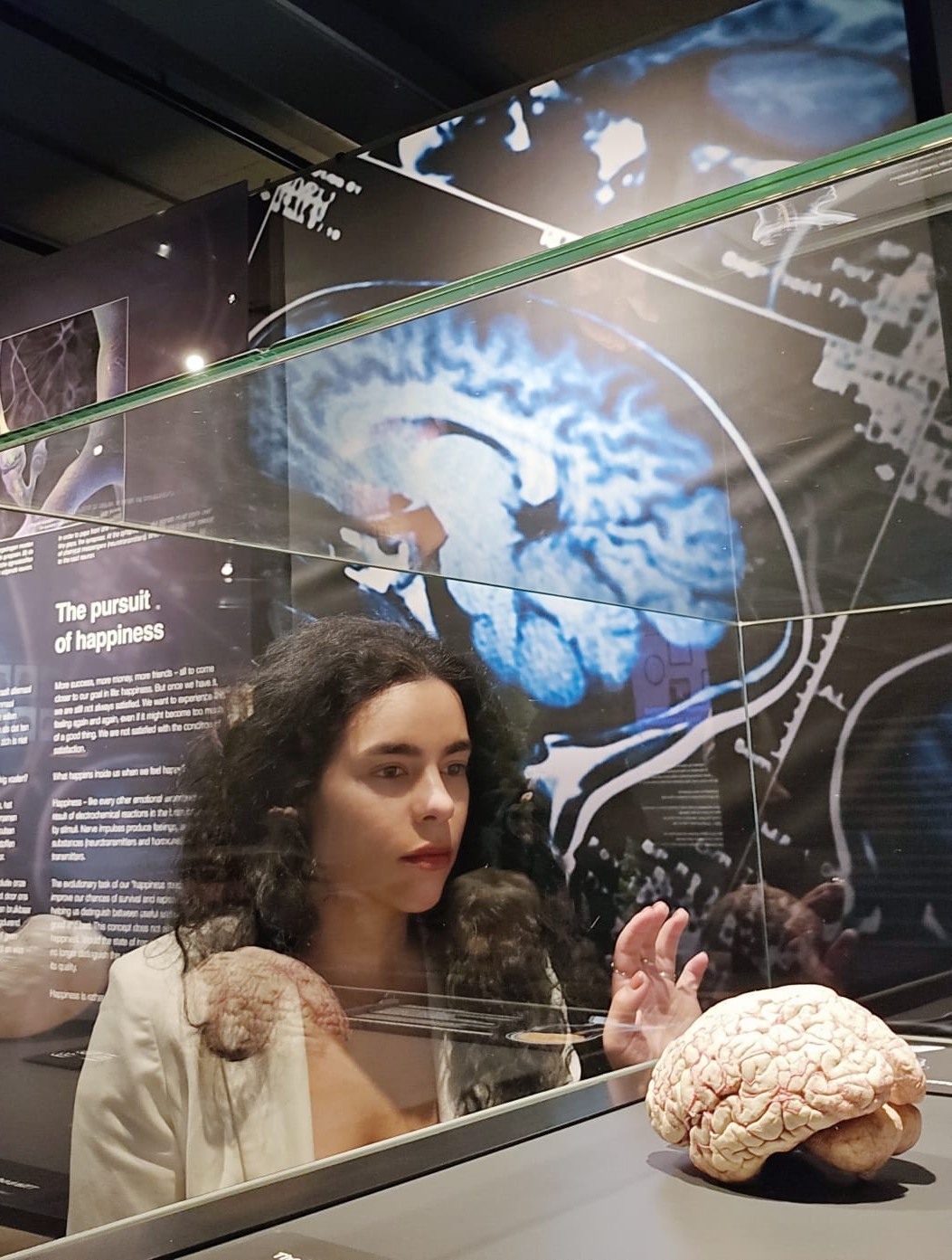 Body worlds